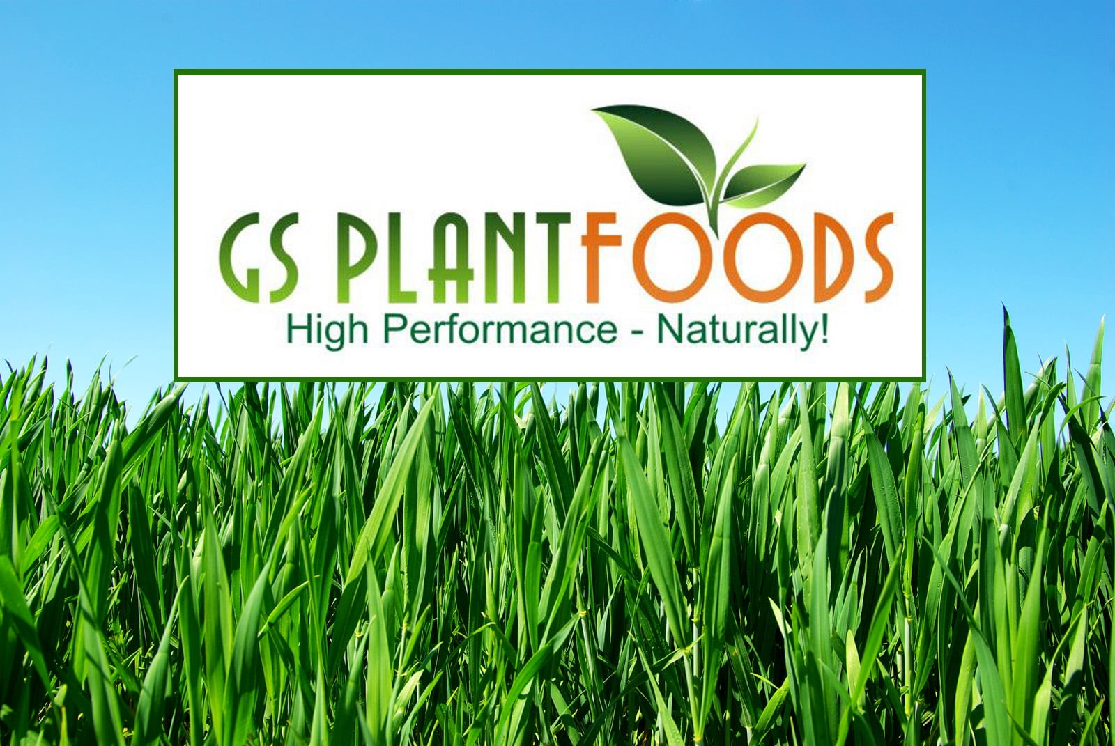 Humic Acid GS Plant Foods Fertilizer, 1 Quart - 32 Oz