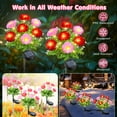 thumbnail image 3 of Qoosea Solar Lights Outdoor Waterproof, Yard Decorations Outdoor Solar Light up Flowers Solar Yard Lights, 2 pack Outdoor Solar Flowers Lights for Yard Garden Patio Home Decor, 3 of 8
