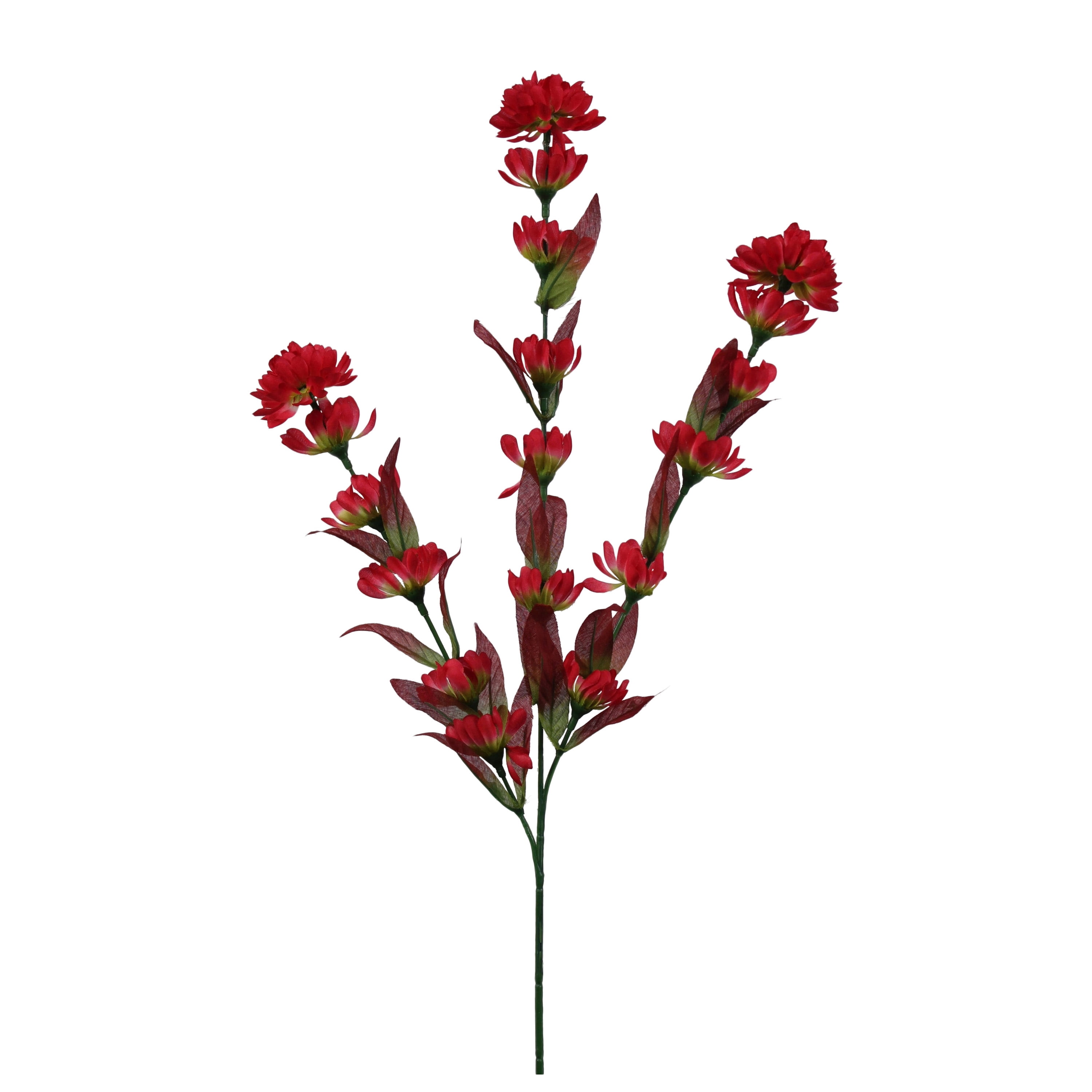 indian paintbrush silk flowers indian paintbrush silk flowers