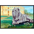 thumbnail image 1 of Carolines Treasures 7517MAT Tapis Intérieur Extérieur 18 x 27 Po. Neapolitan Mastiff, 1 of 4