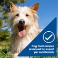 thumbnail image 6 of Nature's Recipe Chicken, Salmon & Turkey Wet Dog Food Variety Pack, 2.75 oz Cups (12 Pack), 6 of 13