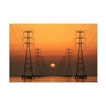 Trademark Fine Art Tiger Seo Power Line Canvas Wall Art - 12x19