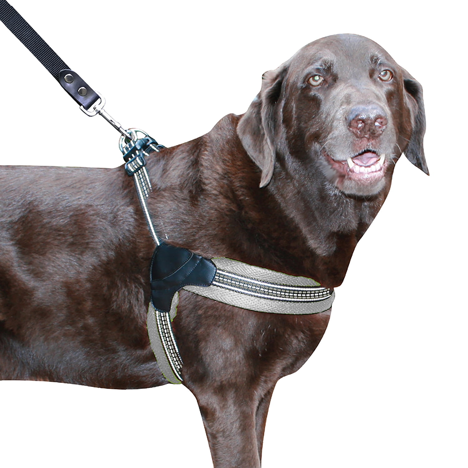 Sporn Easy Fit Adjustable Dog Harness for Large Dogs, Reflective Step-In Walking Harness, Gray, 24–36"" Girth