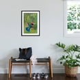 thumbnail image 3 of Art.com Green Violetear (Colibri Thalassinus) Feeding, Savegre, Costa Rica Photographic Print, Black Frame Wall Art, 21" x 29", 3 of 5