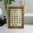 thumbnail image 5 of Deckled Encyclopediae IV (AS) -Framed Print w/glass-Walnut, 5 of 8