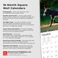thumbnail image 5 of Donkeys | 2024 12x24" (Hanging) Monthly Square Wall Calendar | BrownTrout, 5 of 8