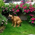 thumbnail image 4 of Zmoon French Bulldog Ornaments, 4 of 5