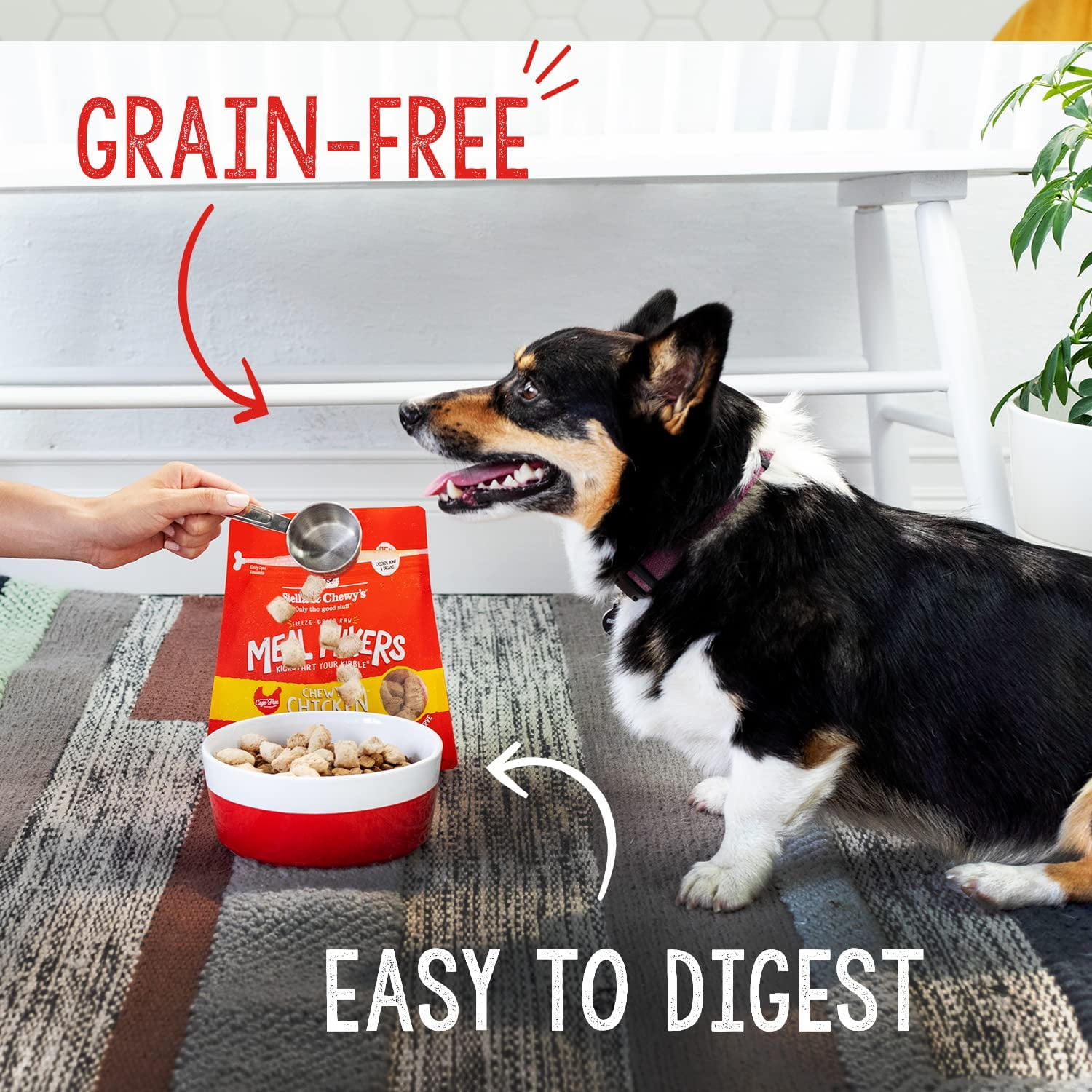Dog food toppers walmart hotsell