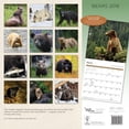 thumbnail image 2 of Bears 2018 Calendar, 2 of 2
