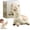 1PC, variant on Alpaca Interactive Water Sprayer - Push Water Sprinkler for Kids (1PC)