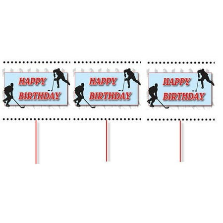 Hoppy Ice - Ice Hockey Happy Birthday Party Cupcake Picks -24pack