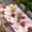 Red LightPink, variant on Red Roses Table Cloths for 3 Foot Rectangle Tables, Valentine's Day Flowers Love Stripes Pink Patio Waterproof Elastic Fitted Tablecloths, Washable Rectangular Table Cover for Camping