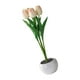 thumbnail image 2 of Flores Artificiales Jinwen Tulipanes Creativos con Ramo LED Lámpara Rosado, 2 of 8