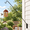 Wall Pole - Adjustable Length - 1 Pack, variant on Heavy Duty Deck Hook Extensible And Adjustable With 2" Non Slip Horizontal Clamp For Hanging Bird Feeder Suet Baskets Wind Chimes