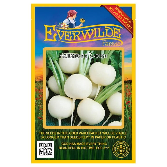 Everwilde Farms - 500 Hailstone Radish Seeds - Gold Vault Jumbo Bulk Seed Packet