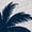 AC-Heather Grey, variant on Laguna Beach California Boys or Girls Toddler T-Shirt