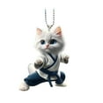 thumbnail image 2 of Yyuenw Cute Cat Car Hanging Ornament Acrylic Funny Kitty Car Interior Charms Accessories Gift for Men Women, 2 of 4