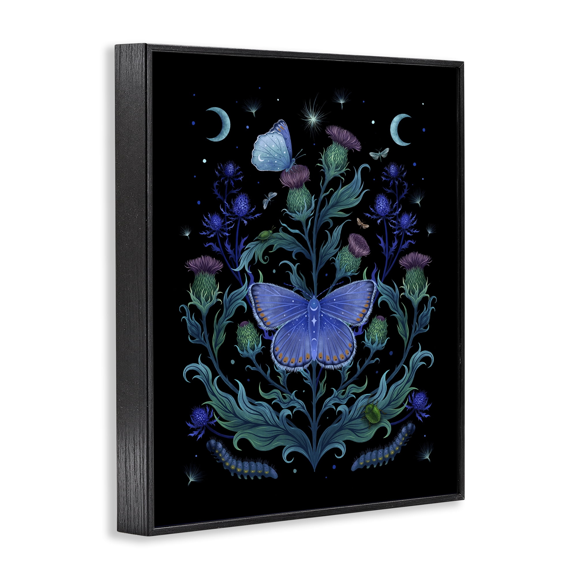 Stupell Industries Thistles & Insects at Night Black Framed Giclee Art, design by Episodic Drawings