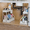 White-2PCS, variant on 2 Pack 2-Tier Under Sink Storage Organizer, Pull Out Sliding Cabinet Basket with Detachable Hooks, Anti-Slip Metal Multi-Purpose Storage Shelf, Space Saver Rack for Kitchen Spices, Utensils & Bathr