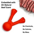thumbnail image 4 of Play by Playology Dog Toys | Interactive Dog Toy Stick | Scented Fetch Toy Branch, Large, 4 of 7