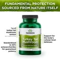 thumbnail image 5 of Swanson Turkey Tail Mushroom - Herbal Supplement Promoting Immune System & Cellular Health - Natural Formula Promoting Liver Function & Defense - (120 Capsules, 500 mg), 5 of 7