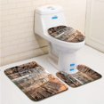 thumbnail image 1 of Juego de alfombras de baño ABPHQTO King George River Falls 3 piezas, 1 of 2