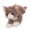 C, variant on Snuggly Soft Cats Plush Toy Realistics Stuffed Designs for Kids and Cats Lovers Home and Decoration