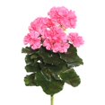 thumbnail image 1 of Pink Geranium Floral Bush - 14.5 in., 1 of 1