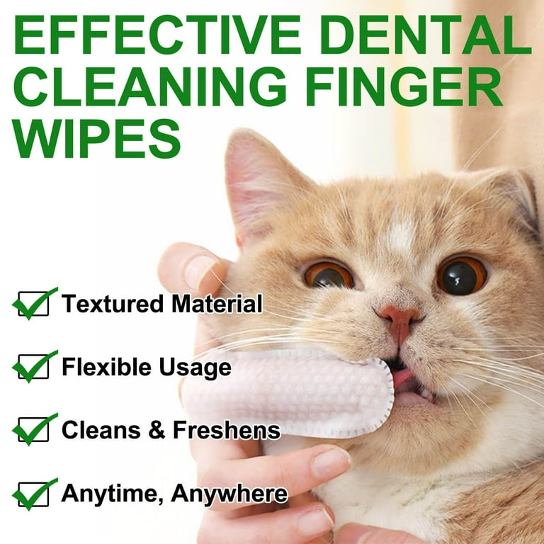 Cat teeth wipes hotsell
