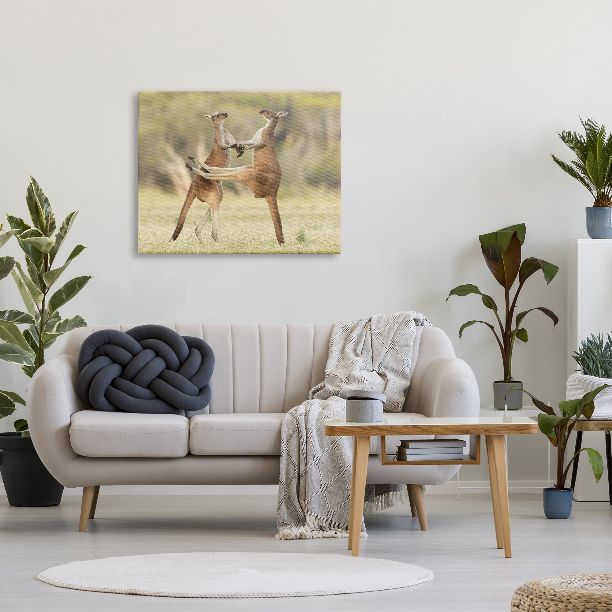 Stupell Industries Kangaroo Duo Photography Animals & Insects Photography Gallery Wrapped Canvas Art Print Wall Art, 40 x 30