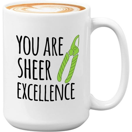 

Novelty Gardener Coffee Mug - You re a Ledg-Hedge-End - Plant Lovers Cactus Puns Succulent Garden Mom Day Lady Plantholic Houseplant You Are Sheer 11 Oz