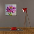 thumbnail image 6 of Epic Graffiti 'Z is for Zinnia' by St. Hilaire Elizabeth, Canvas Wall Art, 26"x26", 6 of 8