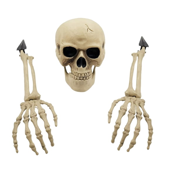 Esqueleto Props Zulema Mano Brazos Halloween Cabeza Cráneo 16,5 cm