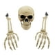 thumbnail image 2 of Esqueleto Humano BLESIY Decoración de Halloween Modelo de Anatomía, 2 of 8