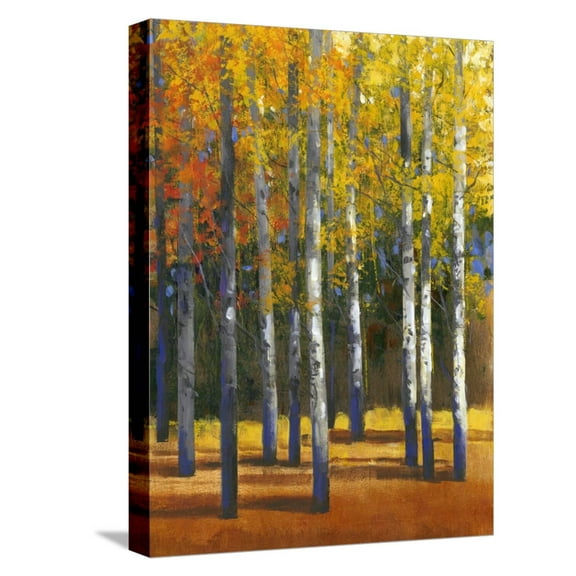 Art.com Fall in Glory I Stretched Canvas Print Wall Art by Tim O'toole, 12" x 16"
