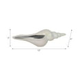 thumbnail image 4 of Decorative Long Sea Shell Sculpture for Home and Room Decor - Coastal Statue for Living Room Decor, Bathroom, and Office Display - Ornaments Accent Ideal for Shelf or Coffee Table Decor - 3", Ivory, 4 of 12