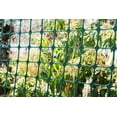 thumbnail image 2 of Tenax Garden Fence, 2 x 25-Feet, Green, 2 of 4