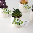 thumbnail image 2 of Weddingstar Small Faux Succulent Plants - Set Of 6, 2 of 2