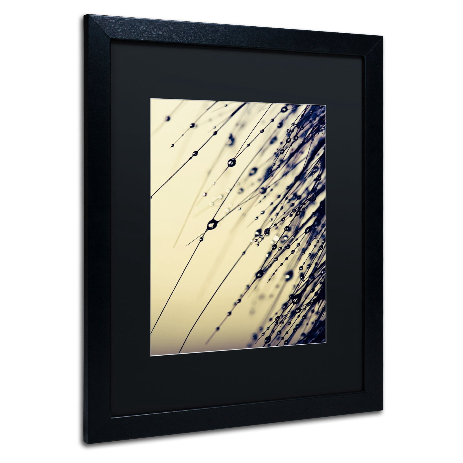 Trademark Fine Art "Music of Yesterday" Canvas Art by Beata Czyzowska Young, White Matte, Black Frame
