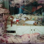 Pusha-T - Daytona - Rap / Hip-Hop - Vinyl