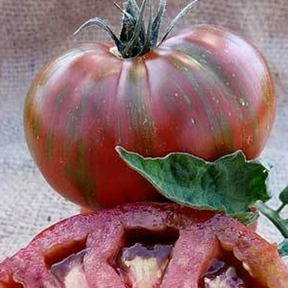Vintage Wine Tomato Seeds - 20 g ~5,000 Seeds - Heirloom, Open Pollinated, Non-GMO, Farm & Vegetable Gardening Seeds