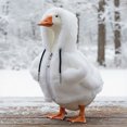 thumbnail image 2 of RUINIXCW 7 Inch Desk Goose Outfits Desk Duck Outfit Mini Porch Goose Outfit Funny Hooded Sweatshirt for Desktop Goose Figurine Fall Winter Desk Goose Clothes Table Centerpieces Decor (No Goose), 2 of 10