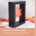 thumbnail image 3 of CIMAXIC 2Pcs Black Pressed Flower Frames For Giving 15.7x11.5cm Specimen Frames, 3 of 7
