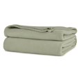 thumbnail image 1 of Rifz BMLSE909027 Couverture Polaire Collection BML&44; Sauge - Queen Size - Pack de 2, 1 of 1
