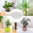 thumbnail image 6 of EPOTOOR Clear Thick Round Durable Sturdy Plastic Duty Sturdy Plant Saucer Drip Trays, 6 of 10