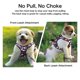 thumbnail image 4 of Set de arneses para perros Petmolico, chaleco reflectante grande con correa, 4 of 7