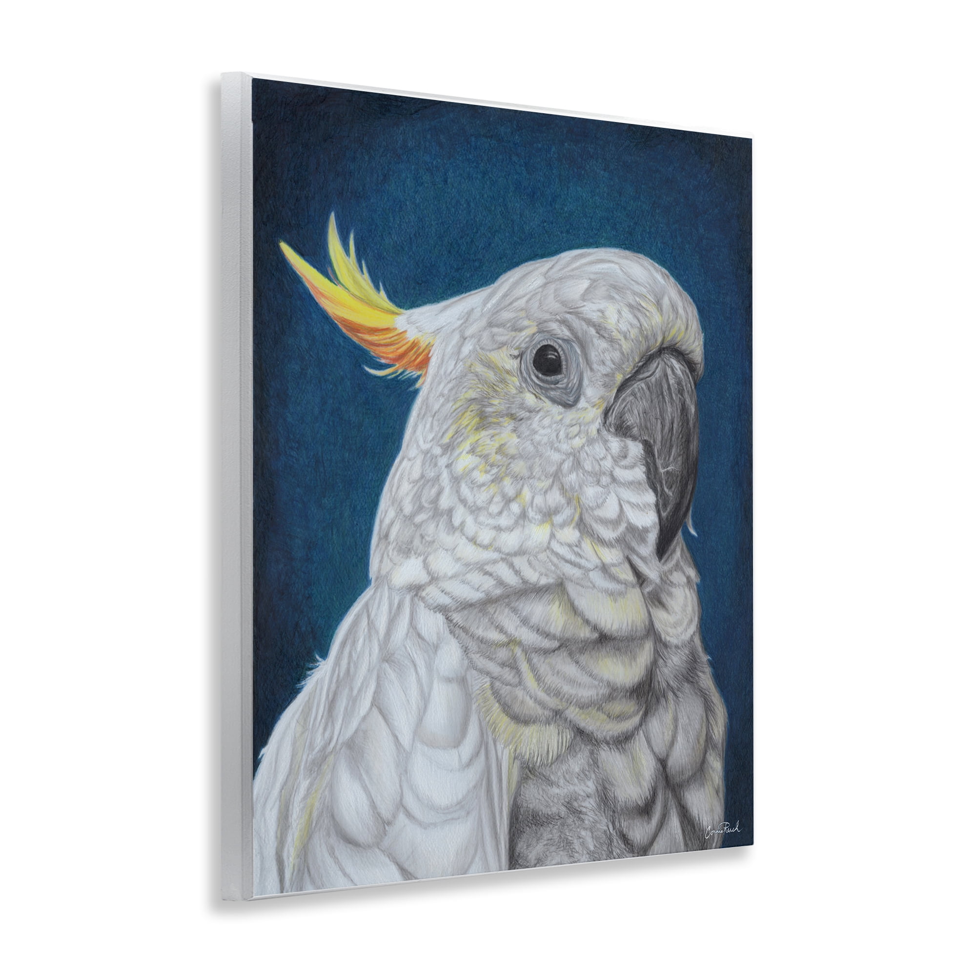 Stupell Industries Traditional Cockatoo Visage Animals & Insects Painting Unframed Art Print Wall Art, 11 x 14