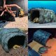 thumbnail image 3 of Reptile Large Opening Rock Cave Habitat Hide – for Aquariums & Terrariums. Ideal for Amphibians,Lizards,Snakes,Bearded Dragons,Geckos,Scorpions,Frogs,Spiders, 3 of 5