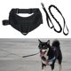 thumbnail image 5 of Arnés suave para perros Chaleco Malla interna Clip de correa frontal Conjunto negro l Sunnimix Perros arnés chaleco, 5 of 7
