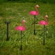 thumbnail image 4 of Flamencos Rosados Claros Cateissary Enchufables de Plástico Solar para el Césped Iluminación y Accesorios Paquete Individual, 4 of 6